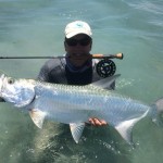 carl ball fishing tarpon awol fishing guide