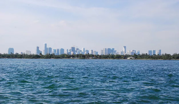 miami fly fishing carl ball skyline