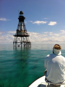 lighthouse-fish-fishing-carl-ball-miami-florida-v4   