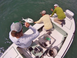 permit-carl-ball-miami-florida-fishing-guide-sfw     